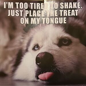 Meet your Posher, JD